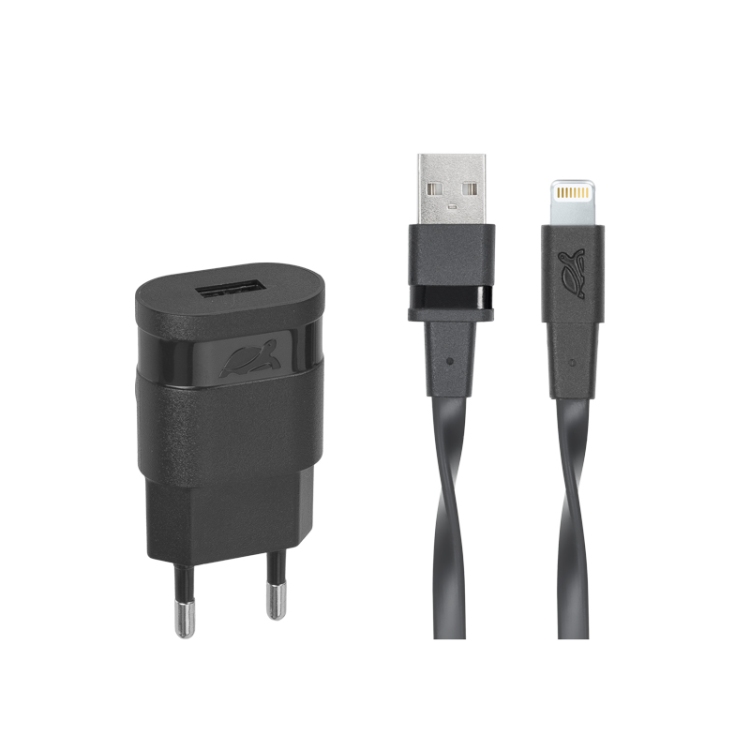 Сетевое зарядное устройство rivapower