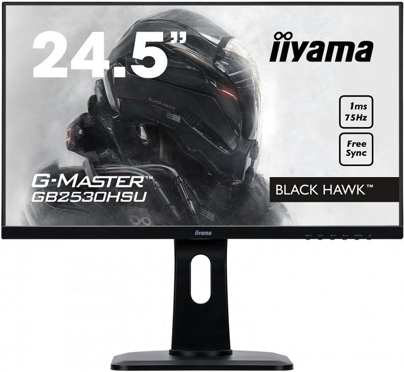 

Монитор iiYama GB2530HSU-B1 25" Black 1920 x 1080/TN/75Hz/1ms/VGA (D-Sub), DP, HDMI