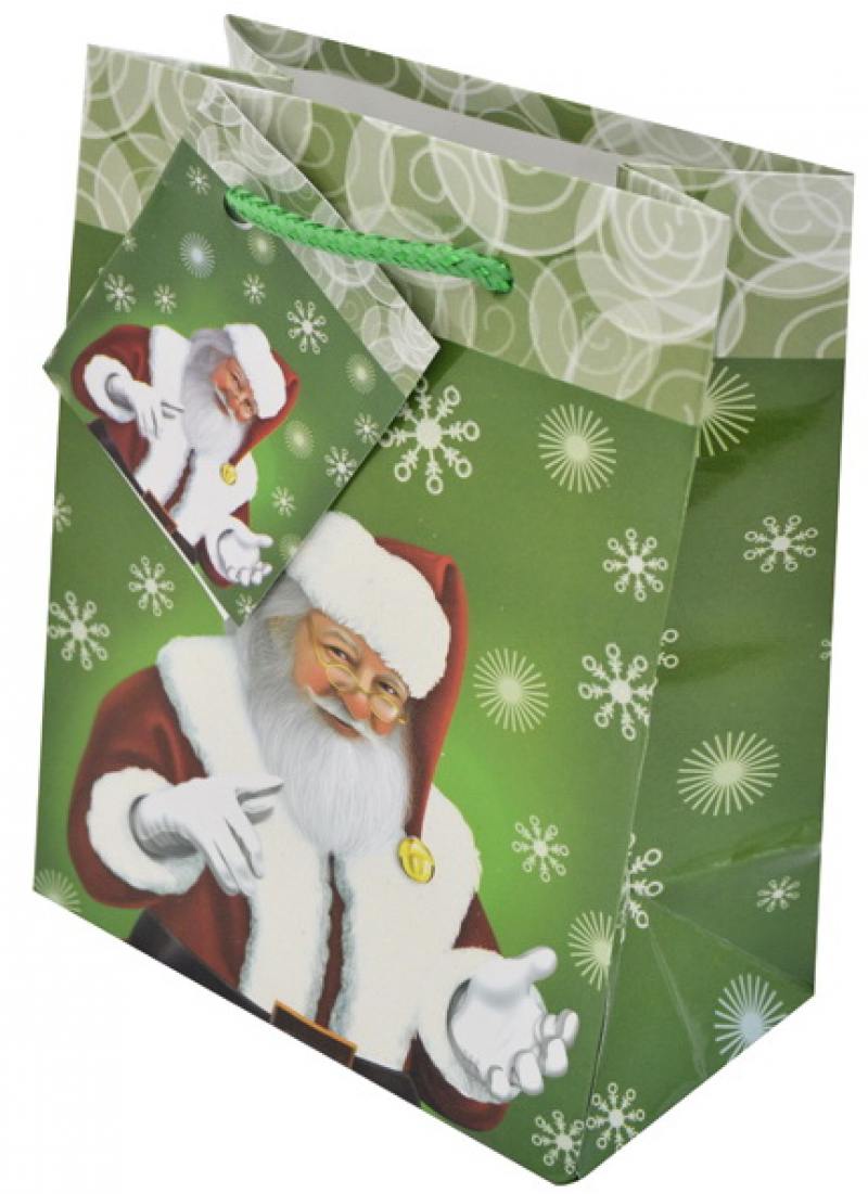 

Пакет подарочный Winter Wings BG1523 11.1x13.7x6.2 cм