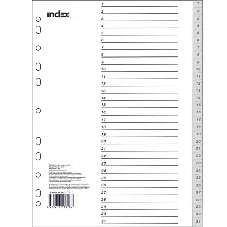 

Разделитель пластиковый, по датам (31 день), А4 IND102