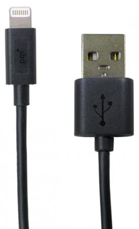

Кабель PQI i-Cable USB-Lightning черный 0.1м 6PCB-001R0012A