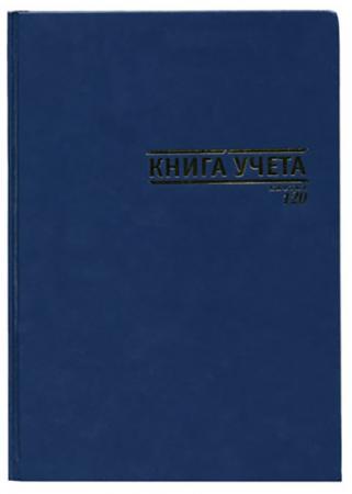

Книга учета Index, БУМВИНИЛ, клетка, 80 л., ф.А4, синий
