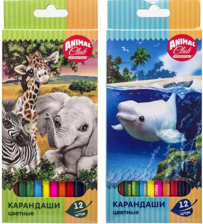 

Набор карандашей цветных ACTION! Animal Club, 12цв., европодвес