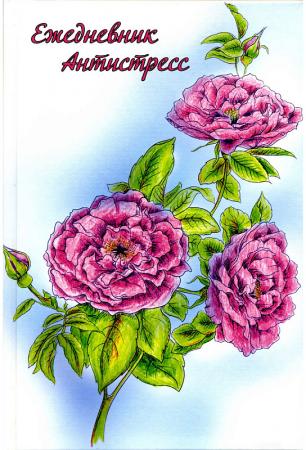 

Ежедневник-антистресс, 7БЦ, недатиров., 112с., ф.А5, серия-1, ADA-S2