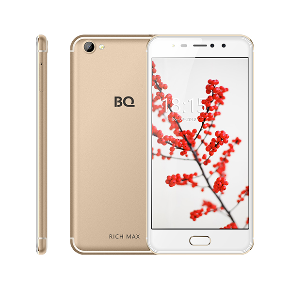 

BQ-5521L Rich Max Gold