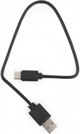 

Кабель Type-C Гарнизон GCC-USB2-AMCM-0.3M круглый черный