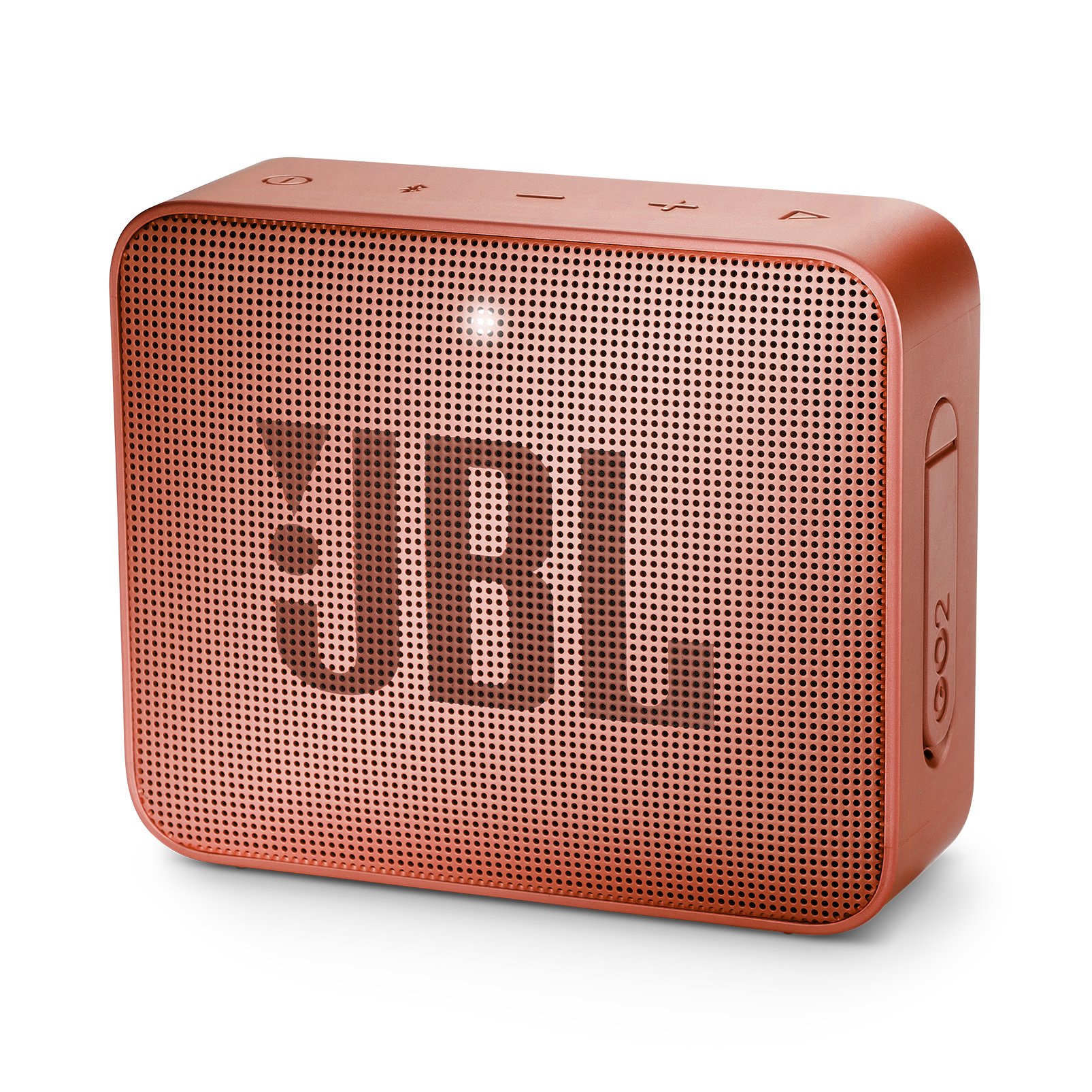 

JBLGO2CINNAMON