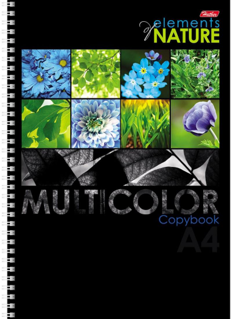 

Тетрадь общая Хатбер MULTICOLOR 96 листов клетка гребень 96Т4вмВ1гр/М