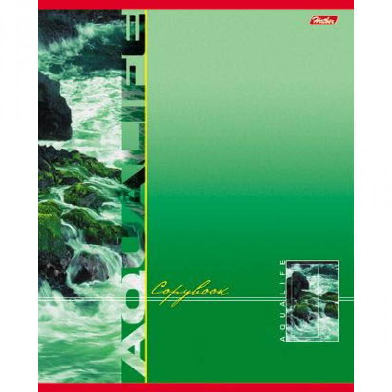 

Тетрадь общая Хатбер AquaLife 80 листов линейка скрепка 80Т5В2/AQ