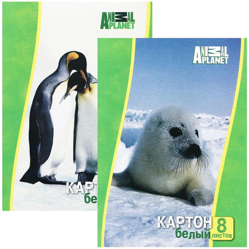 

Набор белого картона Action! ANIMAL PLANET A4 8 листов AP-AWP-8/8 в ассортименте