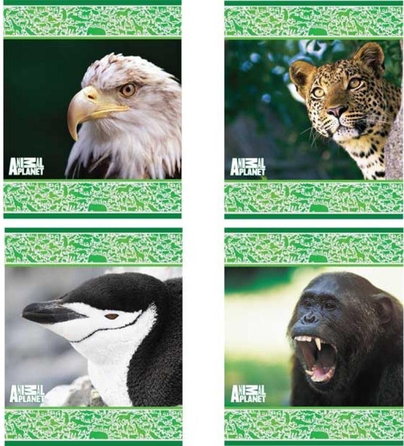 

Тетрадь школьная Action! Animal Planet 48 листов клетка скрепка AP-AN 4804/5 в ассортименте AP-AN 48
