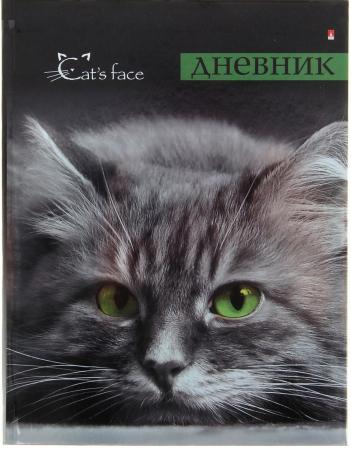 

Дневник для старших классов Альт КОШКИ.ЯРКИЙ ВЗГЛЯД, иридиум, глянцевая ламинация