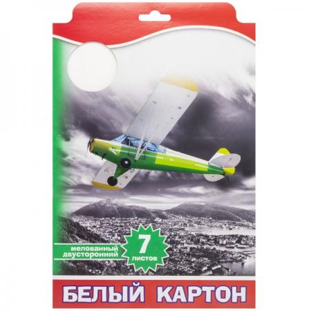 

Набор белого двустороннего мелованного картона ACTION! ф. А4, 7л, европодвес (2)