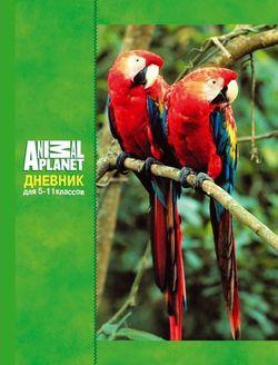 

Дневник для старших классов ACTION! ANIMAL PLANET, матовая ламинация, выб.уф-лак, 7БЦ|1