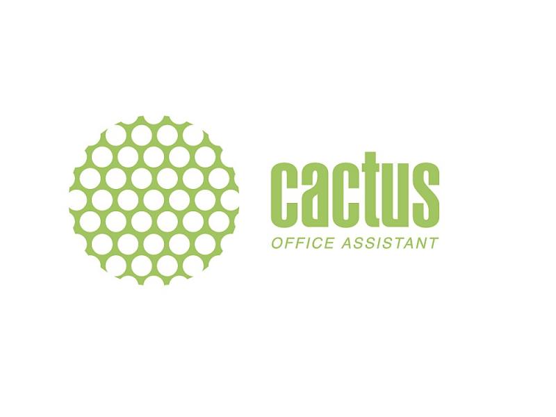 

Заправка Cactus CS-RK-EPT1281 для Epson Stylus S22 черный 2x30мл