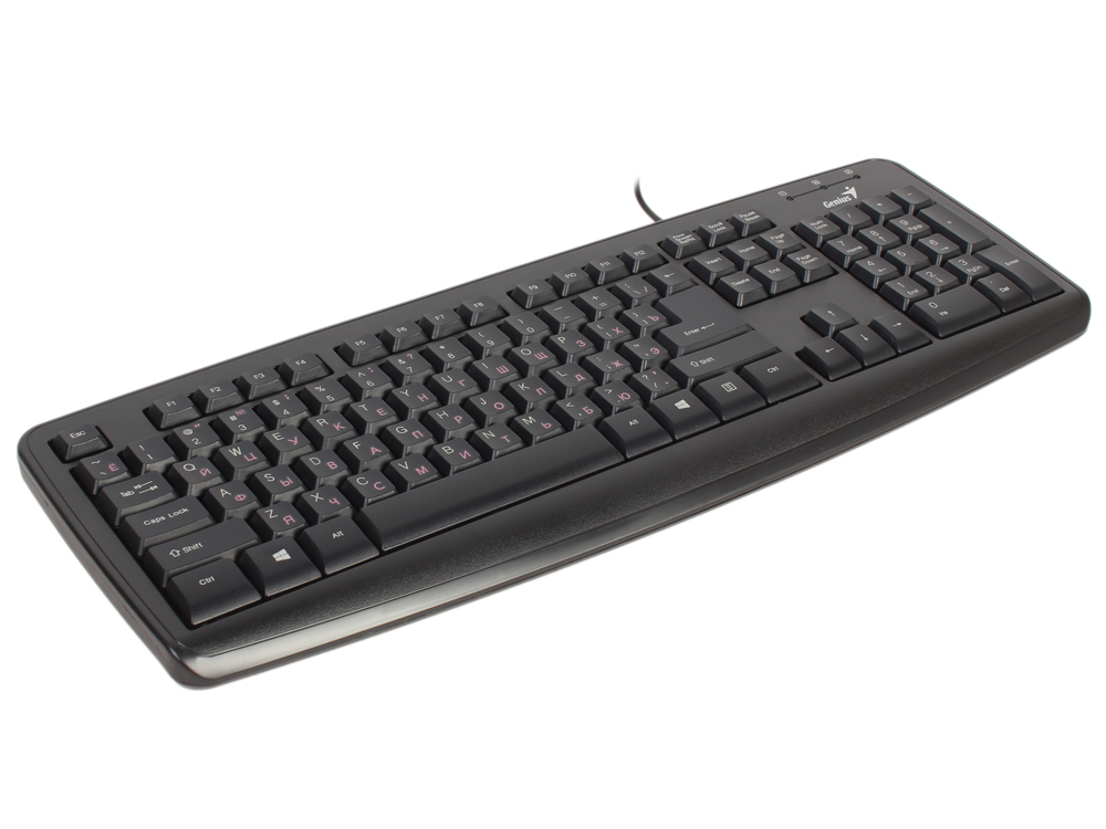 Клавиатура Genius KB-110X (USB, Black, RU)