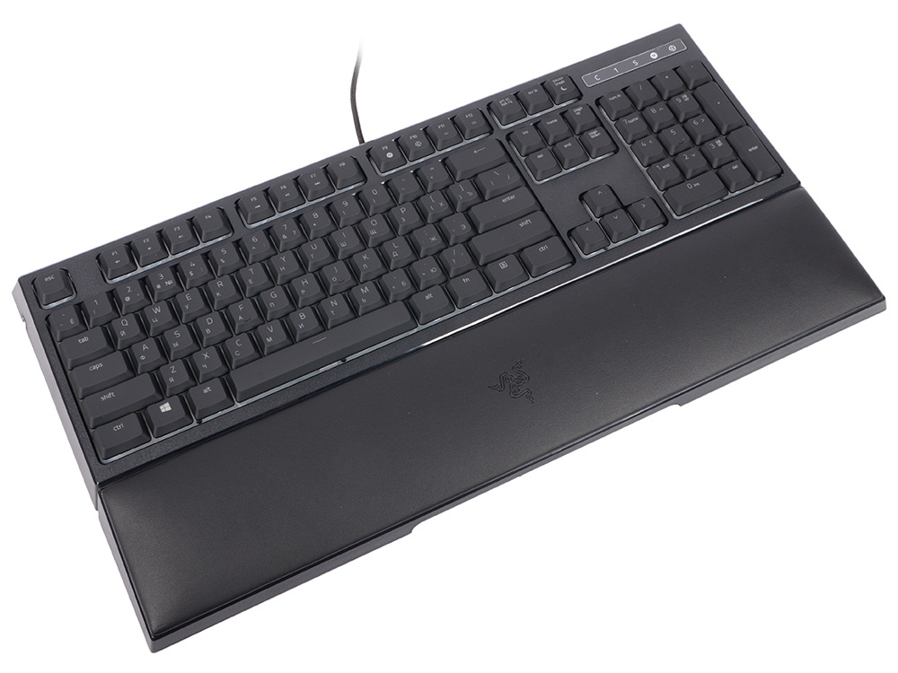 

Ornata Chroma