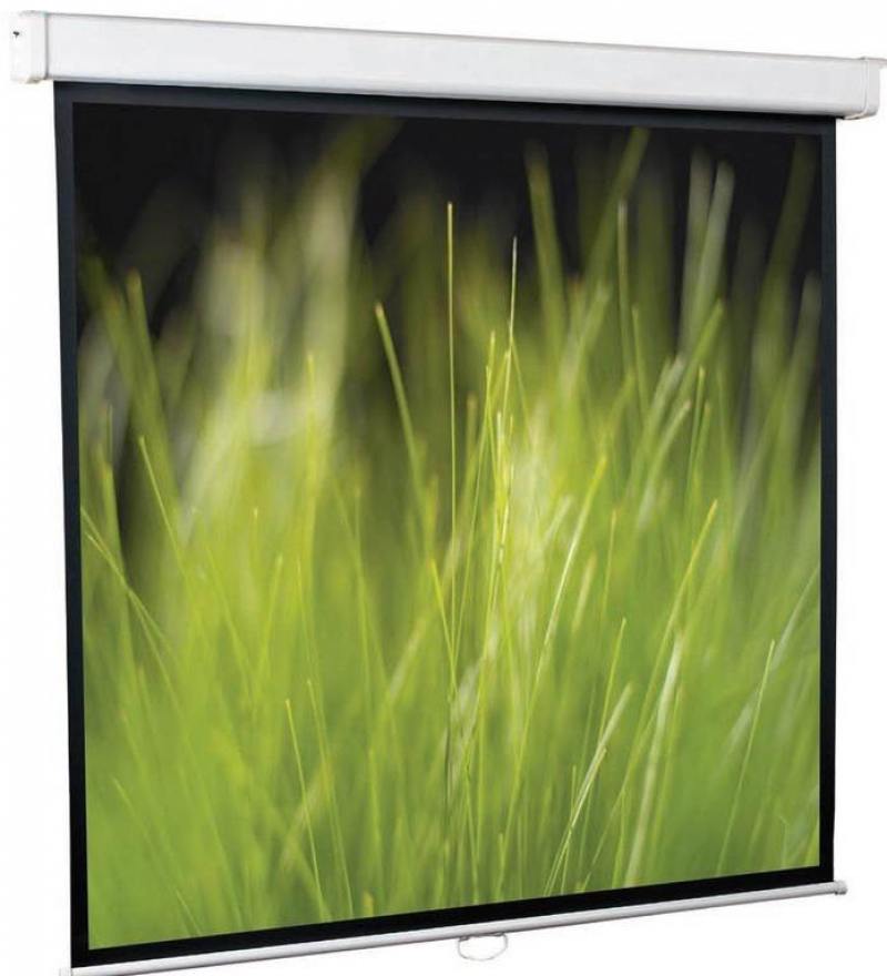 

Экран настенный ScreenMedia Goldview 305х229см SGM-4306