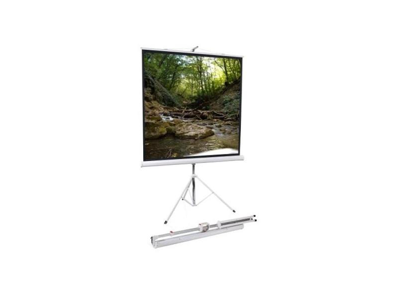 

Экран на штативе ScreenMedia Apollo 203х203см SAM-1104