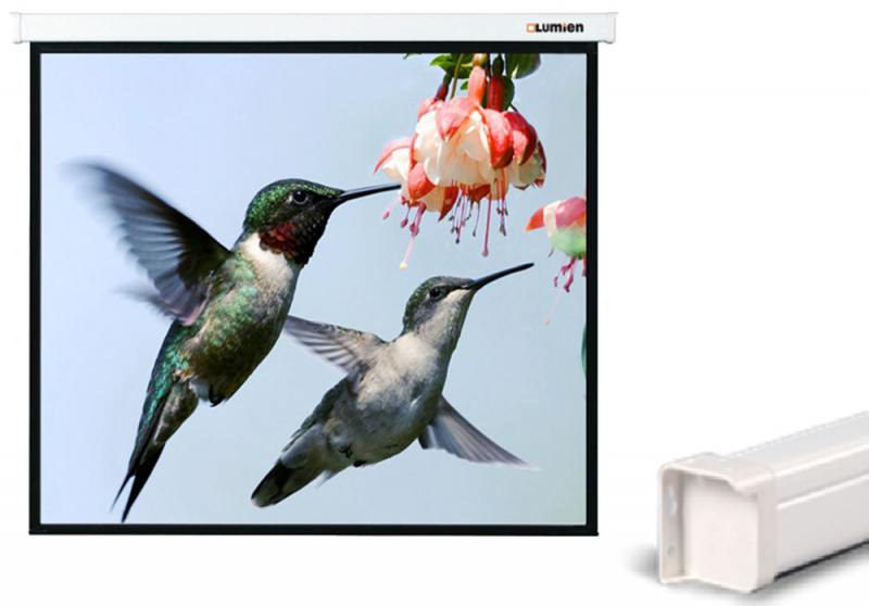 

Экран настенный Lumien Master Control 184x220 см LMC-100113