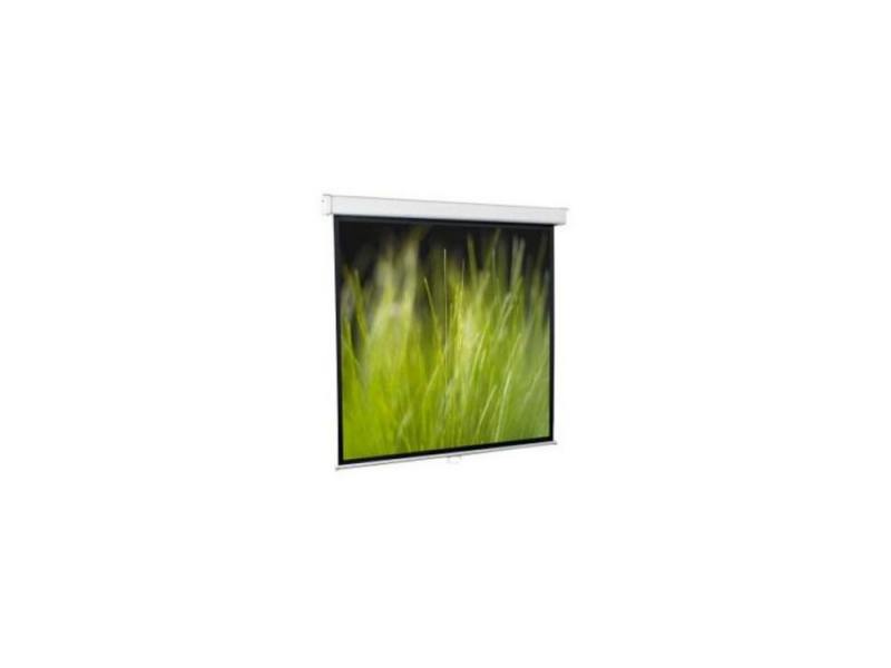 

Экран настенный ScreenMedia Goldview 274х206см SGM-4305