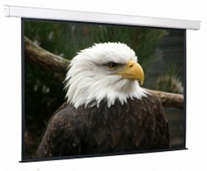 Экран настенный моторизированный ScreenMedia 183х244см SCM-4304 защитный колпачок neutrik scm