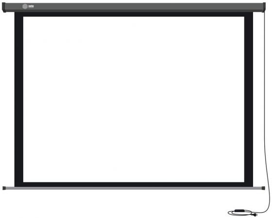 

Экран настенный Cactus Professional Motoscreen CS-PSPM-206X274 206x274см 4:3