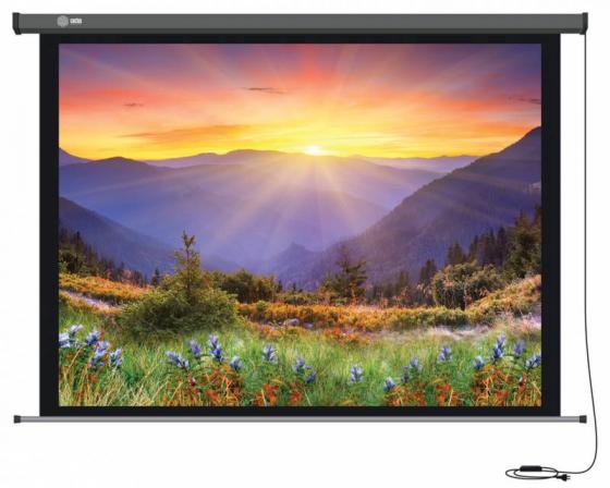 

Экран настенный Cactus Professional Motoscreen CS-PSPM-149X265 149x265см 16:9