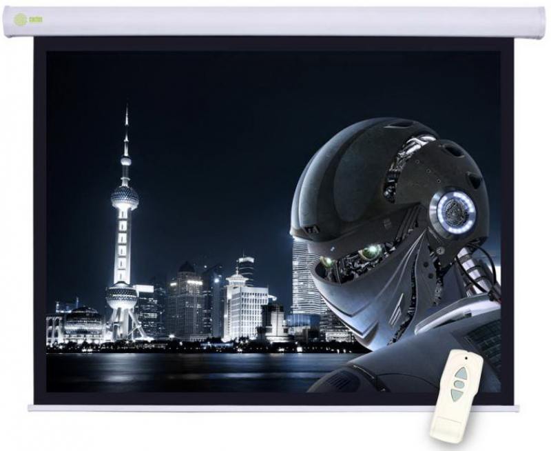 

Экран настенный Cactus Professional Motoscreen CS-PSPM-124X221 124x221см 16:9