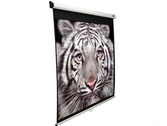 

Экран настенный Elite Screens ELECTRIC110H 16:9 137.2x243.8см