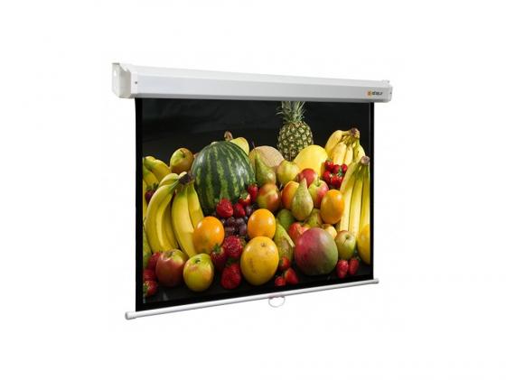 

Экран настенный Digis Space DSSM-162405 MW 240х240см 16:9