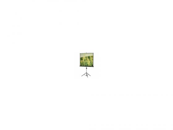 

Экран на штативе Lumien Master View 120x160см Matte White FiberGlass LMV-100112