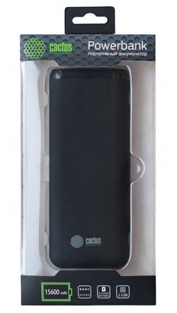 

Внутренний аккумулятор 15600 мАч Cactus CS-PBHTST-15600 черный