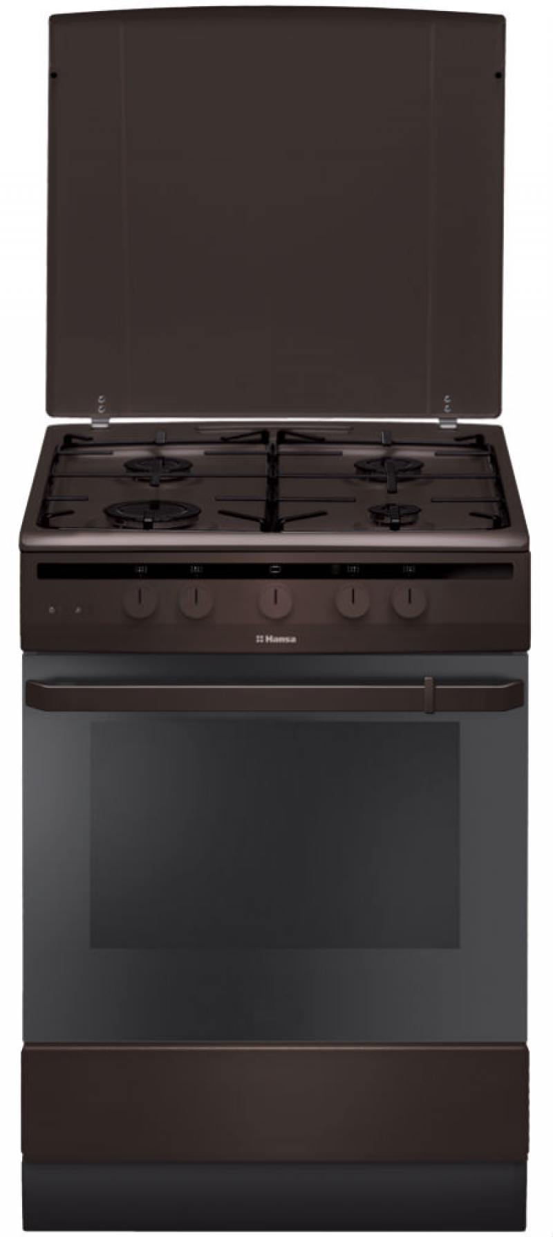 

Газовая плита Hansa FCGB61001