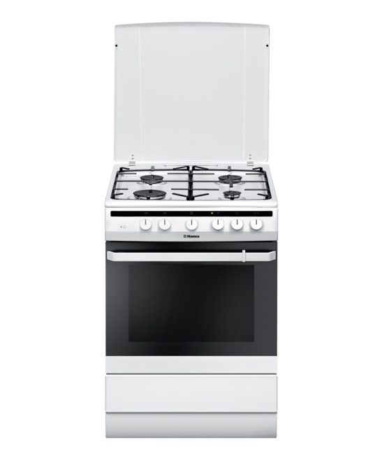 

FCGW63100