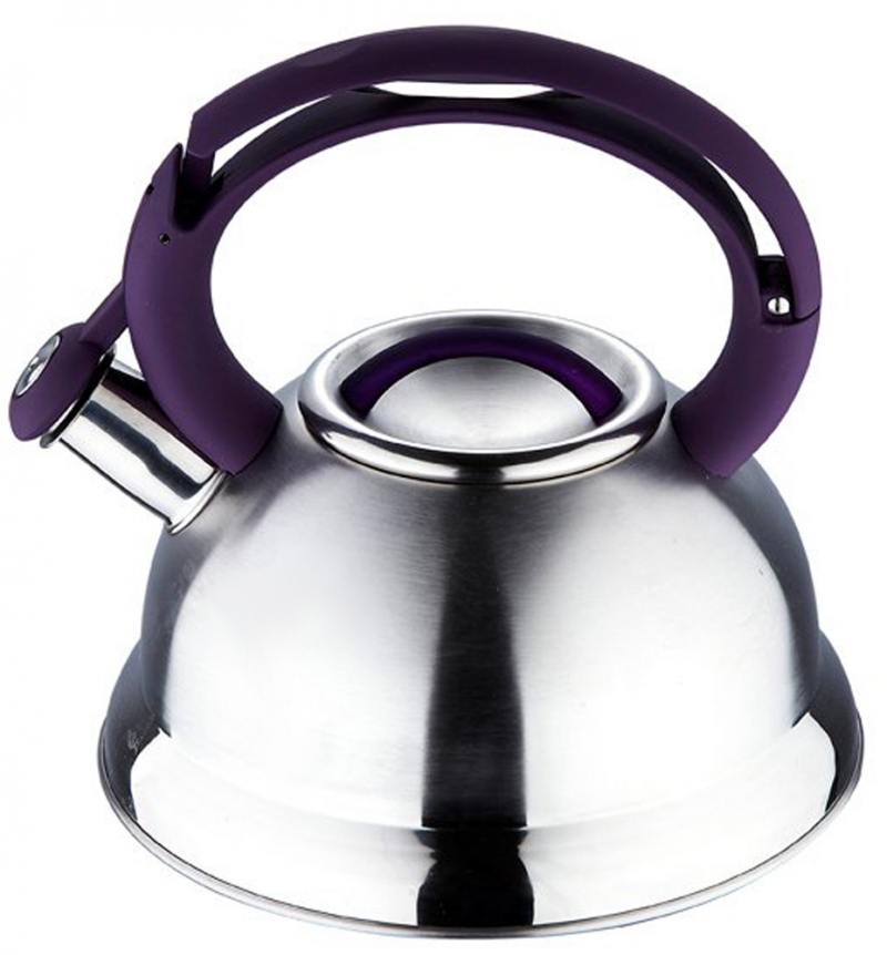 

Чайник Wellberg WB-6233 серебристый фиолетовый 4.8 л нержавеющая сталь