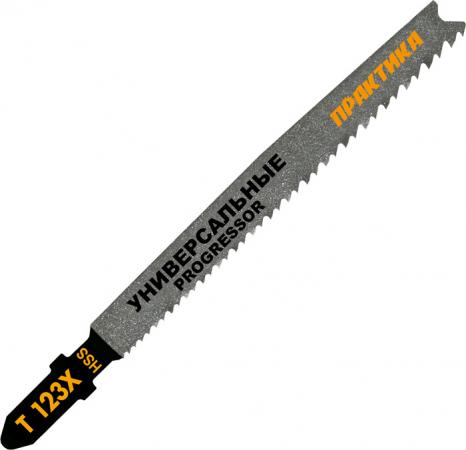 

Пилки д/лобзиков ПРАКТИКА T123X HSS 2 шт (прогрессор) [038-722]