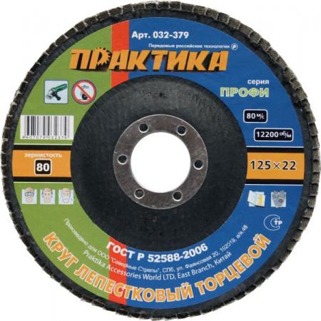 

Круг лепестковый торцевой Практика 125мм Р80 032-379