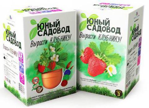 

Игровой набор Инновации для детей Инновации для детей Юный садовод "Вырасти клубнику" 402