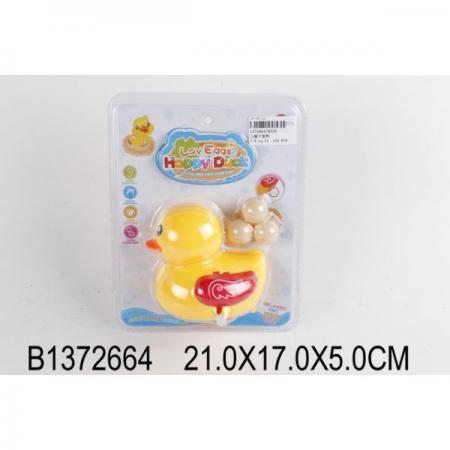 

0639637