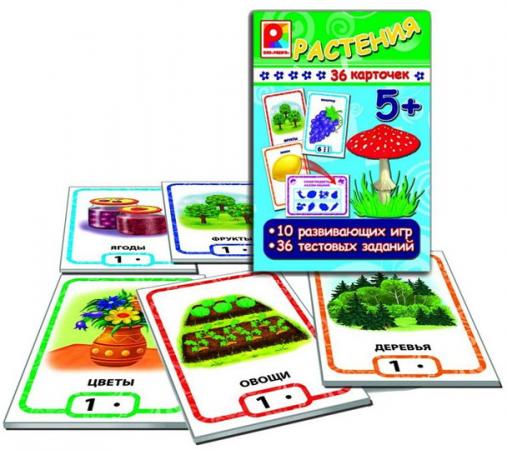 

Обучающая игра Радуга Игры с карточками растения С-912