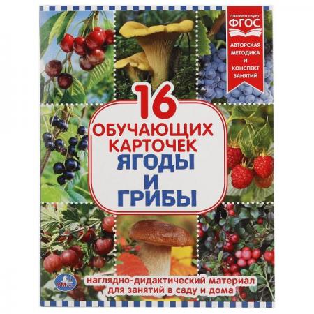 

КАРТОЧКИ В ПАПКЕ. "УМКА" ЯГОДЫ И ГРИБЫ.ОБЪЕМ: 16 КАРТОЧЕК. ФОРМАТ: 167Х218ММ В КОР. в кор.30шт