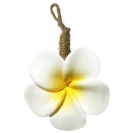 

Etude Organix Мыло ПЛЮМЕРИЯ PLUMERIA 90 г